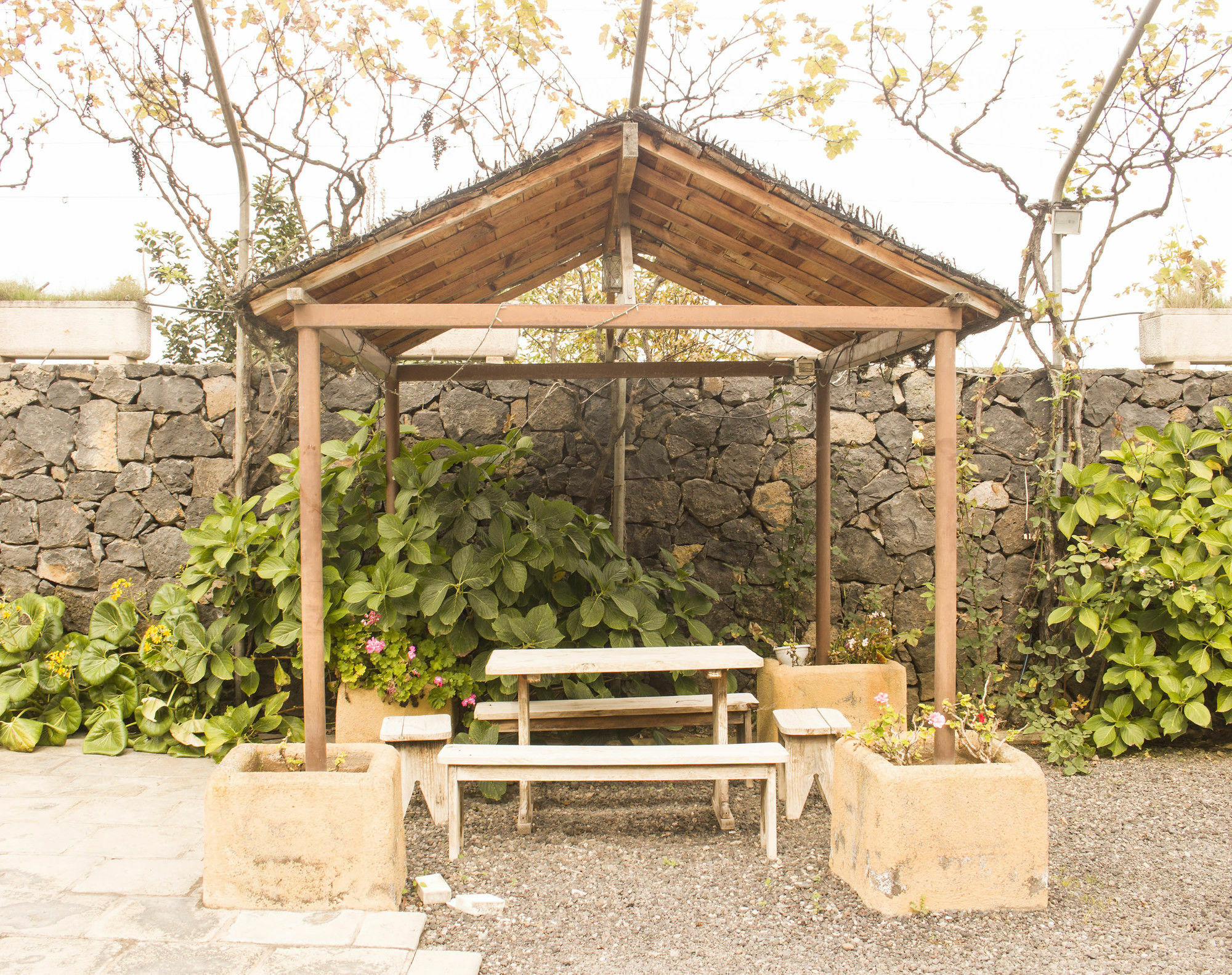 Casa Rural La Tanquera Los Realejos Eksteriør billede