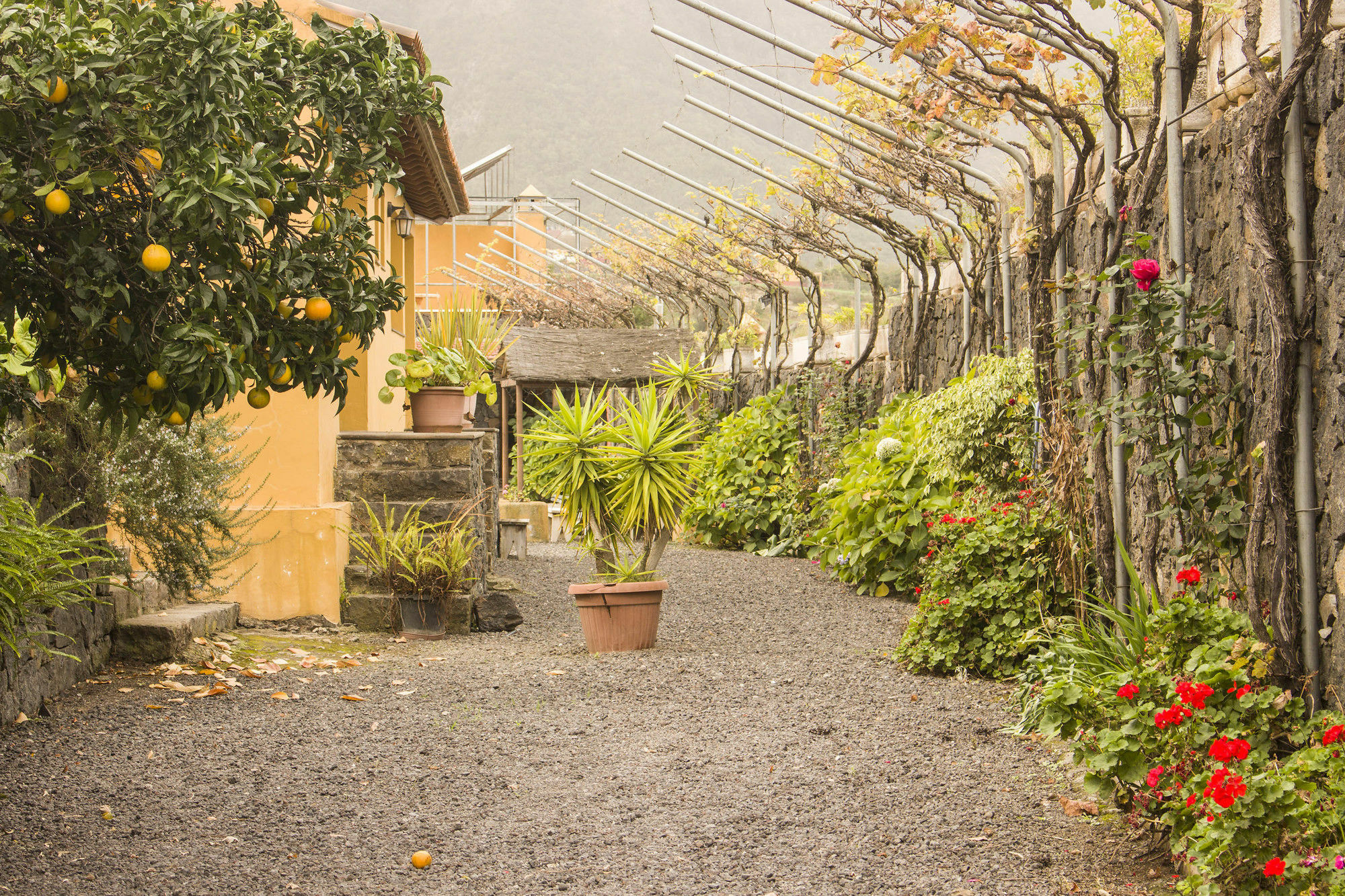 Casa Rural La Tanquera Los Realejos Eksteriør billede